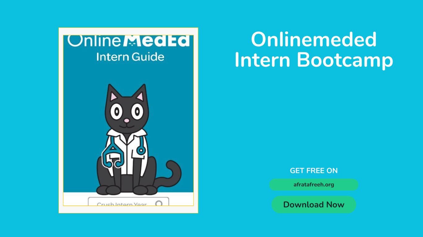 Intern Bootcamp